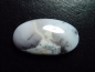 Preview: Dendritenopal 39,93 Ct. Oval Cabochon Indien