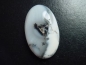 Preview: Dendritenopal 56,69 Ct. Oval Cabochon Indien