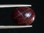 Preview: Star Garnet 16,92 Ct. four ray star cabochon India