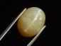 Preview: Opal cat's eye 16,88 Ct. oval cabochon Brazil