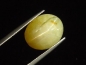 Preview: Opal Katzenauge 12,66 Ct. Oval Cabochon Brasilien