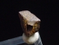 Preview: Edmontosaurus Entenschnabeldinosaurier Zahn 5,5 mm USA