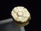 Preview: Trapiche Cordierit, Cerasit / Kirschblütenstein 6,5 mm selten Kyoto, Japan