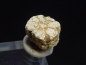 Preview: Trapiche Cordierite, Cerasite / Cherry Blossom Stone 6,5 mm rare Japan
