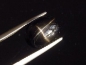 Preview: Sterndiopsid / Stern Diopsid 8,89 Ct. feiner Stern Oval