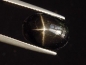 Preview: Star Diopside 8,70 Ct. fine star oval