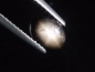 Preview: Sternsaphir 1,10 Ct. schwarz golden 7 x 5 mm Oval Cabochon