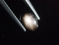 Preview: Sternsaphir 1,10 Ct. schwarz golden 7 x 5 mm Oval Cabochon