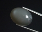 Preview: Mondstein silbergrau 15,39 Ct. Oval Cabochon 18 x 13 mm