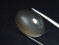 Preview: Moonstone silvergrey 14,63 Ct. oval cabochon