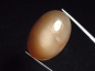 Preview: Moonstone brown 28,06 Ct. oval cabochon