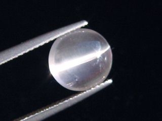 Skapolite cat's eye 2,93 Ct. colorless round cabochon Tanzania