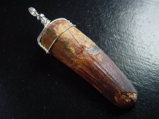 Spinosaurus tooth pendant 925 silver - 6,9 cm - Spinosaur Dinosaur