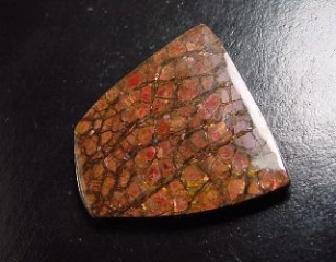 Ammolite 79,23 Ct. large fancy cabochon 42 mm