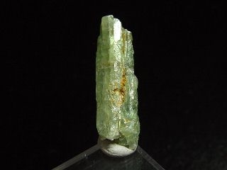 Kyanit / Disthen - 28 mm grüner Kristall - Tansania