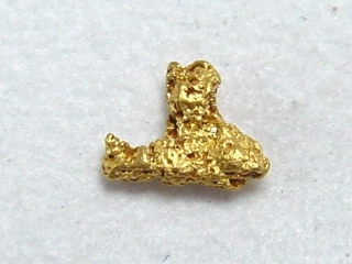 Gold nugget 5 mm - Ruihtu-Äytsi, Lappia, Finland