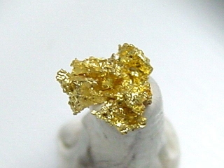 Gold crystalline 4,5 mm Brusson, Val d'Aosta, Italy