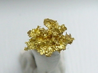 Gold crystalline 5,5 mm Brusson, Val d'Aosta, Italy