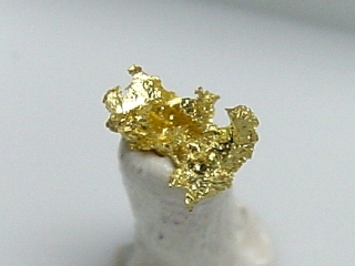 Gold crystalline 5 mm Brusson, Val d'Aosta, Italy
