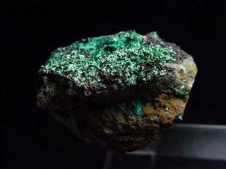Atacamit Stufe 34 mm - Mina la Favola, Copiapo, Chile