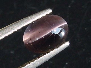 Sillimanite cat's eye 1,89 Ct. oval cabochon Sri Lanka