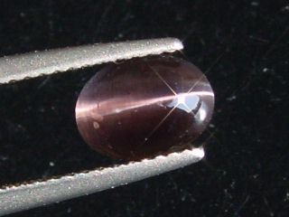 Sillimanite cat's eye 1,89 Ct. oval cabochon Sri Lanka