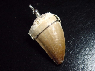 Mosasaur tooth pendant 925 silver - 5,2 cm - Mosasaurus Dinosaur
