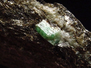 Emerald specimen 44 mm - crystal in matrix Habachtal, Austria