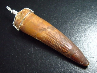 Spinosaurus tooth pendant 925 silver - 8,2 cm - Spinosaur Dinosaur