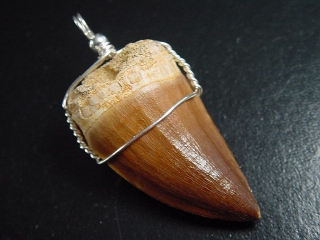 Mosasaur tooth pendant 925 silver - 5,5 cm - Mosasaurus Dinosaur