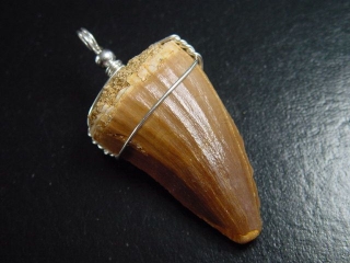 Mosasaur tooth pendant 925 silver - 5,2 cm - Mosasaurus Dinosaur