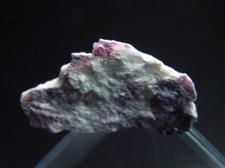 Sugilit Stufe 29 mm - Wessels mine, Kuruman, Südafrika