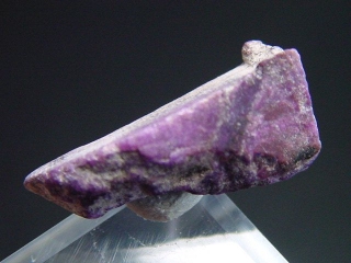 Sugilit Stufe 19 mm - Wessels mine, Kuruman, Südafrika