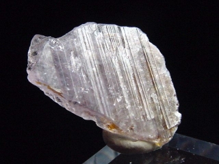 Axinite / Magnesioaxinite crystal 15 mm - Merelani, Tanzania