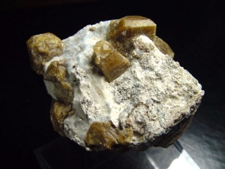 Vesuvianit Stufe 51 mm - Sierra de Cruces, Mexiko