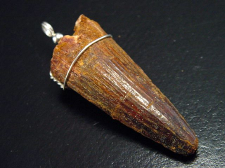 Spinosaurus tooth pendant 925 silver - 6,6 cm - Spinosaur Dinosaur