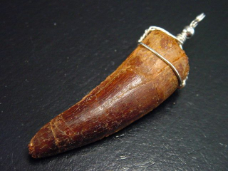 Spinosaurus tooth pendant 925 silver - 6,9 cm - Spinosaur Dinosaur
