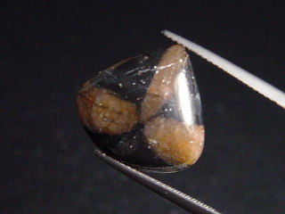 Chiastolite 11,83 Ct. pear cabochon Australia