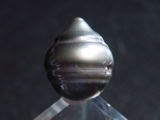 Black Tahitian Pearl 13,5 mm loose undrilled - French Polynesia