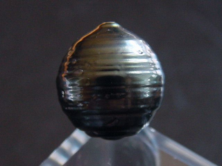 Black Tahitian Pearl 12 mm loose undrilled - French Polynesia