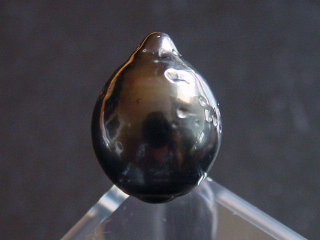 Black Tahitian Pearl 15 mm loose undrilled - French Polynesia
