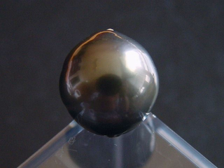 Black Tahitian Pearl 12 mm loose undrilled - French Polynesia