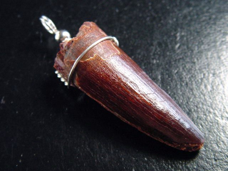Spinosaurus tooth pendant 925 silver - 5,4 cm - Spinosaur Dinosaur