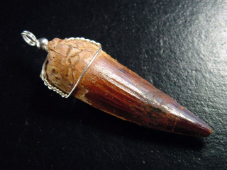 Spinosaurus tooth pendant 925 silver - 6,5 cm - Spinosaur Dinosaur