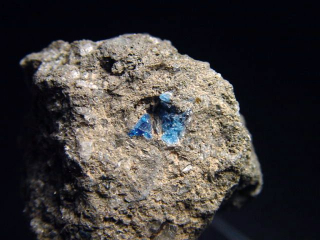 Hauyne / Hauynite specimen 32 mm - Laacher See, Eifel, Germany