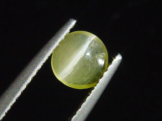 Skapolite cat's eye 0,71 Ct. yellow round cabochon Sri Lanka