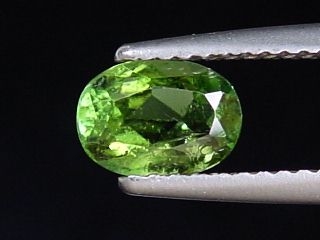 Verdelith / grüner Turmalin 0,84 Ct. Oval Brasilien