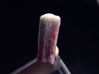 Paraiba Tourmaline crystal / Cupro Elbaite 21 mm Brazil