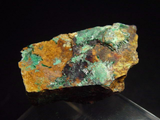 Atacamit Stufe 42 mm - Mina la Favola, Copiapo, Chile