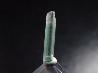 Tourmaline crystal bicolor 13,5 mm Gilgit, Pakistan